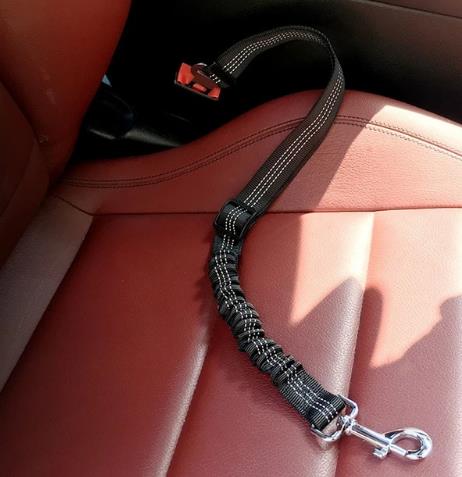 PetLovers? Dog Seat Belt
