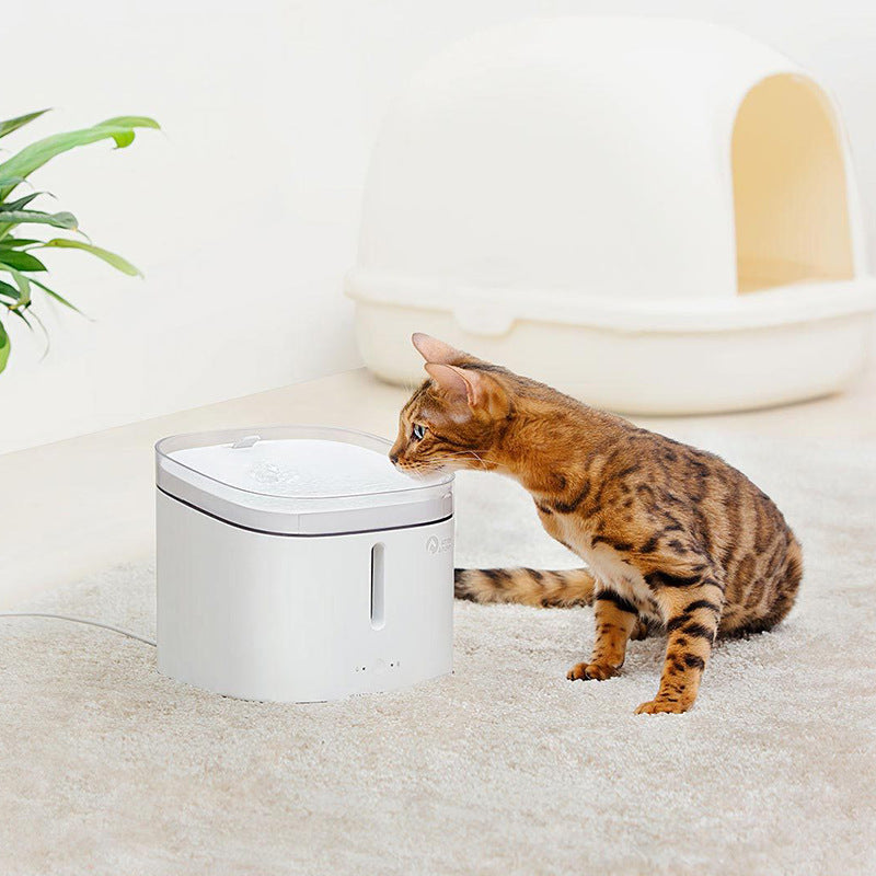 Running water automatic circulation pet waterer