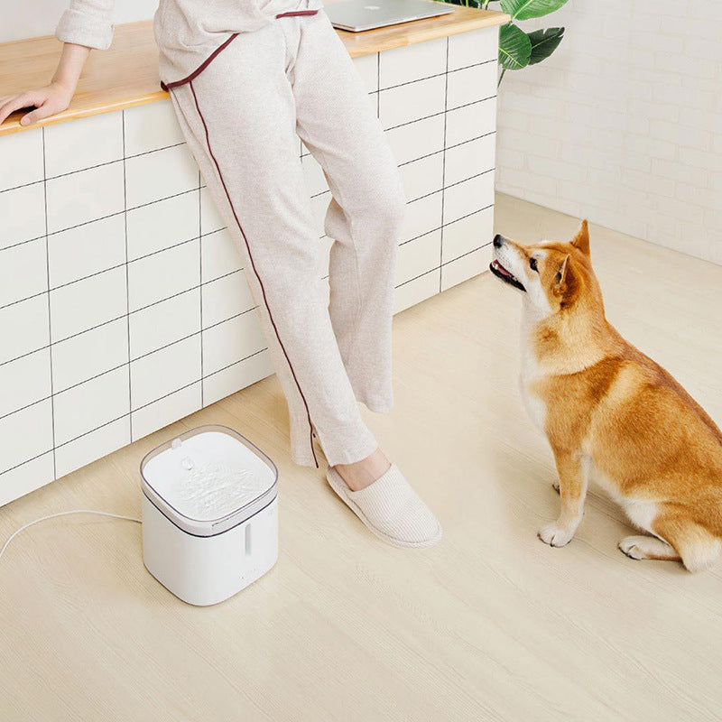 Running water automatic circulation pet waterer