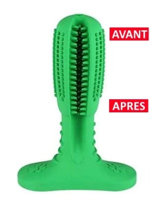 CleanDoggo? - Brosse à dents