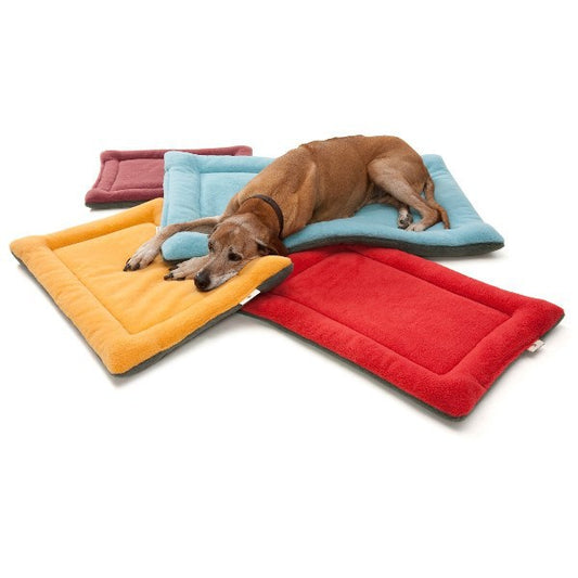 Spring, summer, autumn and winter pet dog cotton pad