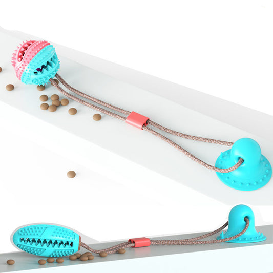 Suction cup molar toy